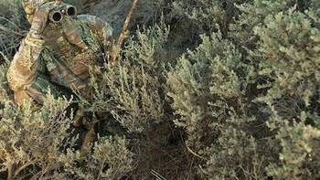 Pemburu ini bersembunyi di sisi bukit dengan pohon-pohon hijau. (Foto: wideopenspaces)