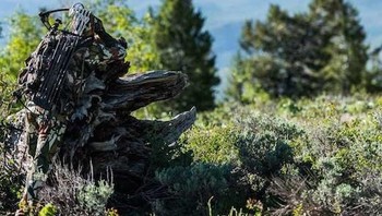 Bukan batu, ini adalah seorang pemburu yang sukses membuat dirinya tak terlihat. (Foto: wideopenspaces)