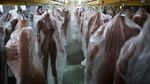 Boneka Seks Made in China ini Bisa Ngomong Lho