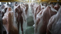 WMDOLL, salah satu pembuat boneka seks terbesar Cina, yang berbasis di provinsi tenggara Guangdong, meluncurkan apa yang disebutnya boneka bertenaga AI. REUTERS/Aly Song.