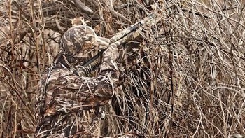 Tak peduli banyak ranting-ranting, ia tetap fokus dengan aksinya. (Foto: wideopenspaces)