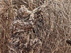 Penyamaran Hebat Pemburu Hewan Bikin Mata Bingung