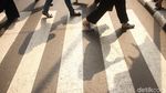 Ini Lho Pelican Crossing Yang Nantinya Gantikan JPO HI