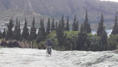 Foto: Embun Es Selimuti Dieng saat Minus 3 Derajat Celcius