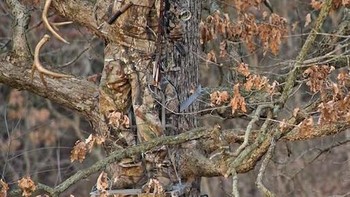 Pemburu ini siap membidik dengan senjatanya, ia berpakaian senada dengan warna pohon. (Foto: wideopenspaces)