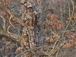 Penyamaran Hebat Pemburu Hewan Bikin Mata Bingung