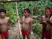 Suku-suku di Amazon masih hidup dengan cara tradisional (Reuters)