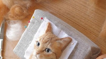 Untuk menghasilkan satu wajah kucing ia membutuhkan waktu cukup lama yakni sekitar satu bulan. (Foto: Instagram/Wakuneco)