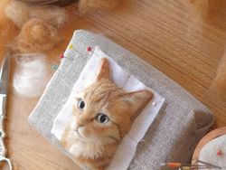 Keren! Seniman Jepang Ini Bisa Sulap Benang Wol Jadi Kucing