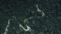 Amazon merupakan hutan belantara dengan luas 7 juta km persegi. Lokasinya di Benua Amerika Latin dan masuk di 9 negara, dari Brasil (60 persen hutan Amazon ada di negara ini) lalu Kolombia, Peru, Venezuela, Ekuador, Bolivia, Guyana, Suriname, dan Guyana Perancis (Reuters)