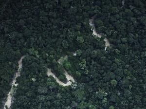 4 Bocah Dievakuasi dari Amazon Kolombia: Tertua 13 Tahun, Si Bungsu 1 Tahun