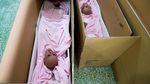 Boneka Seks Made in China ini Bisa Ngomong Lho