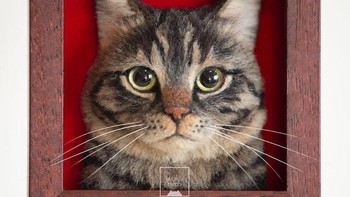 Dia adalah Wakuneco seniman asal Jepang yang membuat karya 3 dimensi berbentuk kucing. (Foto: Instagram/Wakuneco)
