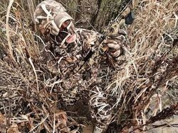 Penyamaran Hebat Pemburu Hewan Bikin Mata Bingung