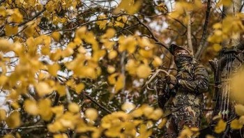 Pemburu ini menyatu sempurna di dalam pepohonan. (Foto: wideopenspaces)