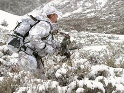 Penyamaran Hebat Pemburu Hewan Bikin Mata Bingung