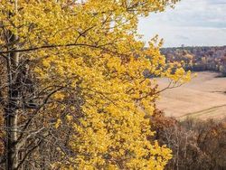 Penyamaran Hebat Pemburu Hewan Bikin Mata Bingung