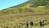 Itu terlihat dari wisatawan yang asyik foto-foto dengan latar belakang bukit cantik ini. (Wahyu/detikTravel)