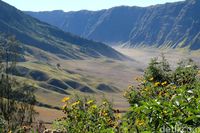  Hijau Bak Permadani Begini Cantiknya Bukit Teletubbies Bromo