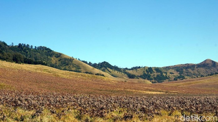 Dikritik Hanung Bramantyo Soal Bukit Teletubbies, Ini Kata TNBTS