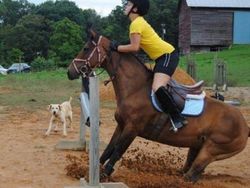 Deretan Momen Sepersekian Detik yang Terabadikan Kamera