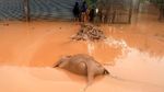 Foto: Derita Warga di Tengah Banjir Dahsyat Laos