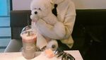 Manisnya Park Min Young Saat Menyesap Teh dan Makan Cake