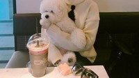 Wah, imut banget sih wajah lawan main Park Seo Joon ini. Kali ini ia terlihat meminum segelas iced tea sambil ditemani anjingnya bernama Leon. Foto: Instagram rachel_mypark