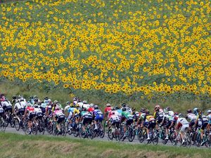 Indahnya Kebun Bunga Manjakan Peserta Tour de France