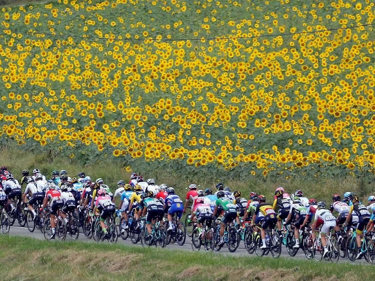 Indahnya Kebun Bunga Manjakan Peserta Tour de France