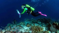 Beginilah suasana iring-iringan penyelam di dasar laut Raja Ampat. Foto: dok. WASI