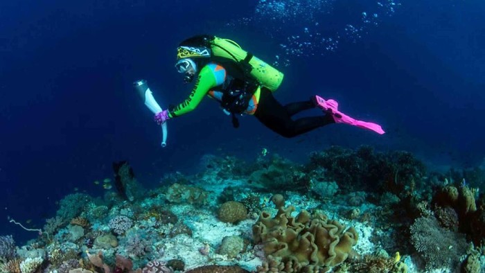 Ketua Umum Wanita Selam Indonesia (WASI) yang juga merupakan Ketua Umum Bhayangkari Tri Tito Karnavian didampingi Nadine Chandrawinata dan 8 penyelam wanita membawa api obor Asian Games 2018 saat menyelam di perairan Pulau Piaynemo, Raja Ampat, Papua Barat, kemarin. kegiatan ini dilakukan sebagai bentuk dukungan perempuan terhadap kesuksesan Asian Games 2018.