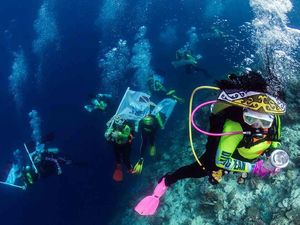 Raja Ampat yang Kaya Raya (Alamnya)