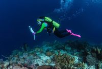 Istri Kapolri Bawa Obor Asian Games Menyelam di Raja Ampat