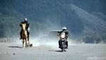 Foto: Keren! Adu Cepat Kuda Bromo vs Motor Adventure