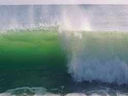 Deretan Momen Sepersekian Detik yang Terabadikan Kamera