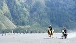 Foto: Keren! Adu Cepat Kuda Bromo vs Motor Adventure