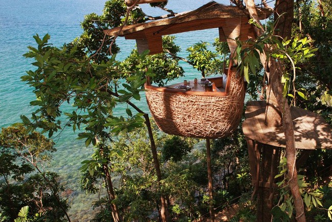 Di Restoran Ini Bisa Merasakan Sensasi Makan Seperti di Sarang Burung