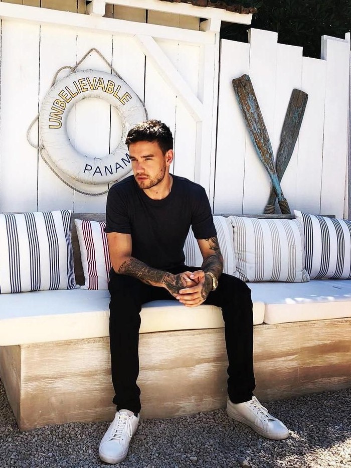 liam payne penyanyi