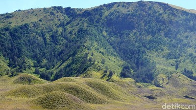 Foto: Bukit Teletubbies yang Sedang Hijau-hijaunya