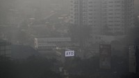 Menurut @GreenpeaceID Jakarta menempati posisi 1 kota paling berpolusi di dunia dengan perolehan AQI (Air Quality Index) atau Indeks Kualitas Udara mencapai 184 mengalahkan kota Mumbai di India dan kota Santiago di Cili. Kota Denpasar Bali pun turut masuk ke dalam peringkat kota paling berpolusi di dunia. Kota Denpasar menempati posisi 10 dengan perolehan AQI 104. Reuters/Beawiharta.