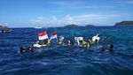 Pawai Obor Asian Games Tiba di Raja Ampat