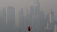 Kualitas udara dapat diukur dengan berbagai cara, salah satunya dengan mengukur berapa banyak partikel yang lebih kecil dari 10 mikrometer per meter kubik udara (atau Particulate Matter 10 yang biasa disingkat PM10). Menurut data BMKG pada 18 Juli konsentrasi PM10 di Jakarta sempat mencapai 171 µg/m3 pada pukul 8 pagi. Jumlah ini sudah melebih ambang batas konsentrasi polusi udara yang diperbolehkan di luar ruangan, yakni 150 µg/m3. Tingkat polusi ini sangat mengkhawatirkan untuk kesehatan warga Jakarta. Reuters/Beawiharta.