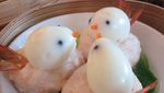Imut Banget! Dim Sum Bentuk Ikan, Burung hingga Panda