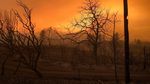 Hutan Terbakar, California Memerah