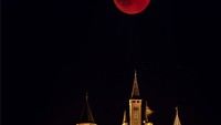 Hasil jepretan kamera istana di Hechingen, Jerman tampak semakin dramatis dengan munculnya Blood Moon dalam rangkaian fase gerhana bulan total. Matthias Hangst/Getty Images.