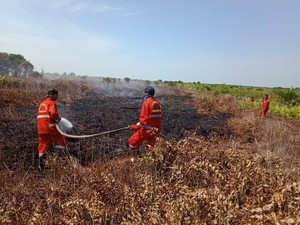 KLHK Sebut Pemadaman Api di Lahan Gambut Butuh Energi dan Waktu