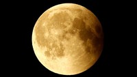 Fenomena gerhana bulan total terjadi di seluruh dunia pada Sabtu (28/7/2018) dini hari. Keindahan gerhana bulan total ini pun tampak jelas di kota Frankfurt, Jerman. Kai Pfaffenbach/Reuters.