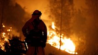 Satu orang tewas dalam kebakaran yang meluas hingga 11.300 hektar tersebut. REUTERS/Fred Greaves.
