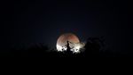Foto Pranikah Pasangan Brasil Ini Berlatar Gerhana Bulan Total